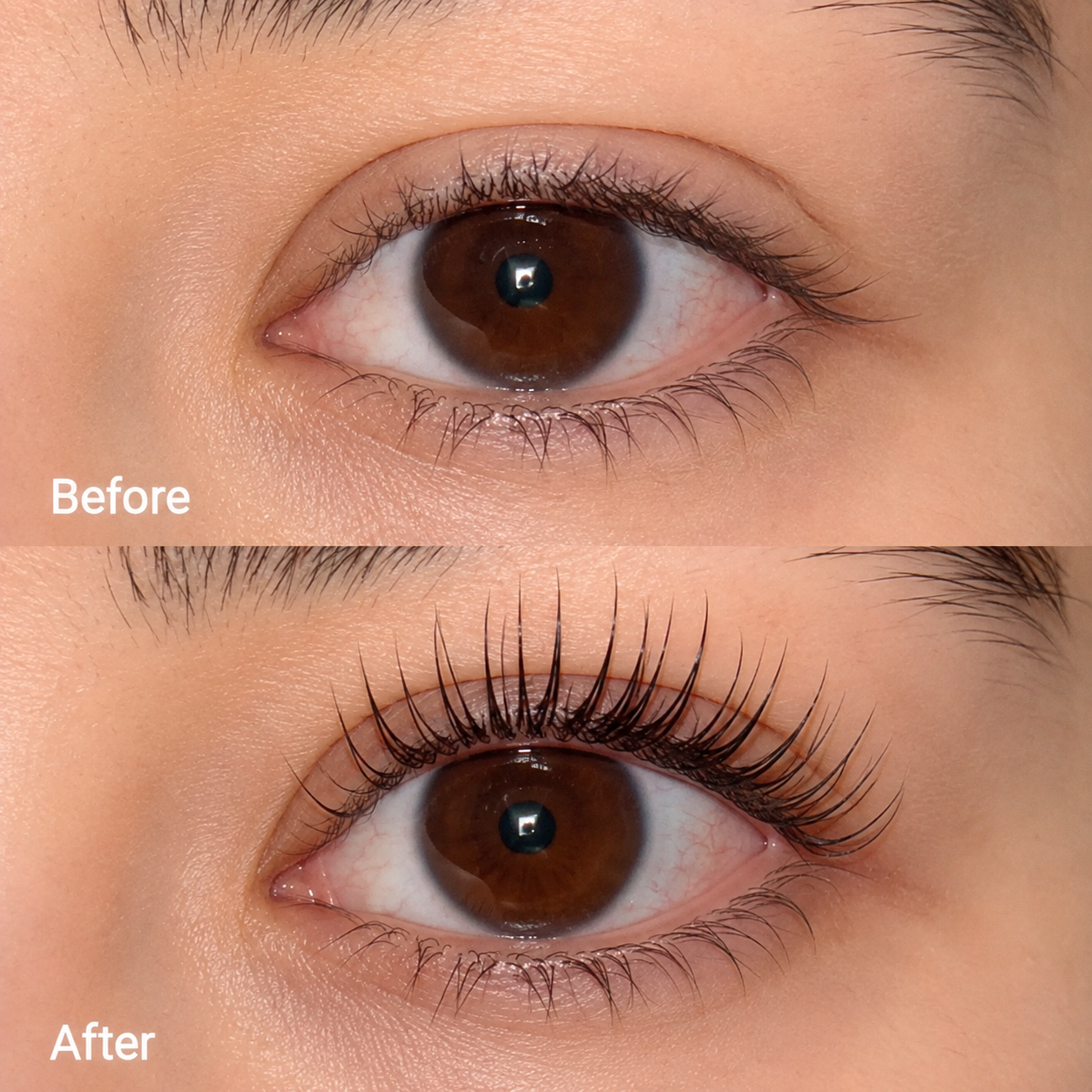 Aeri Lash & Brow Enhancing Serum